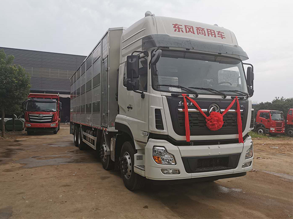 東風天龍9.6米畜禽運輸車