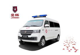 金杯海獅S救護(hù)車