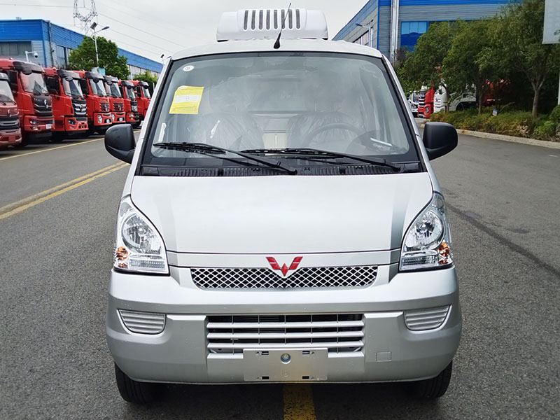 五菱汽油版面包冷藏車